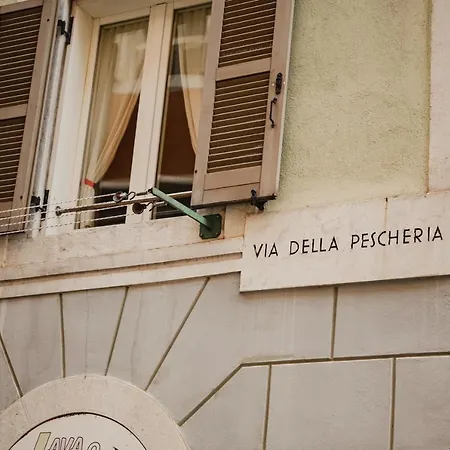 Daire Monolocale Marino In Centro Storico *